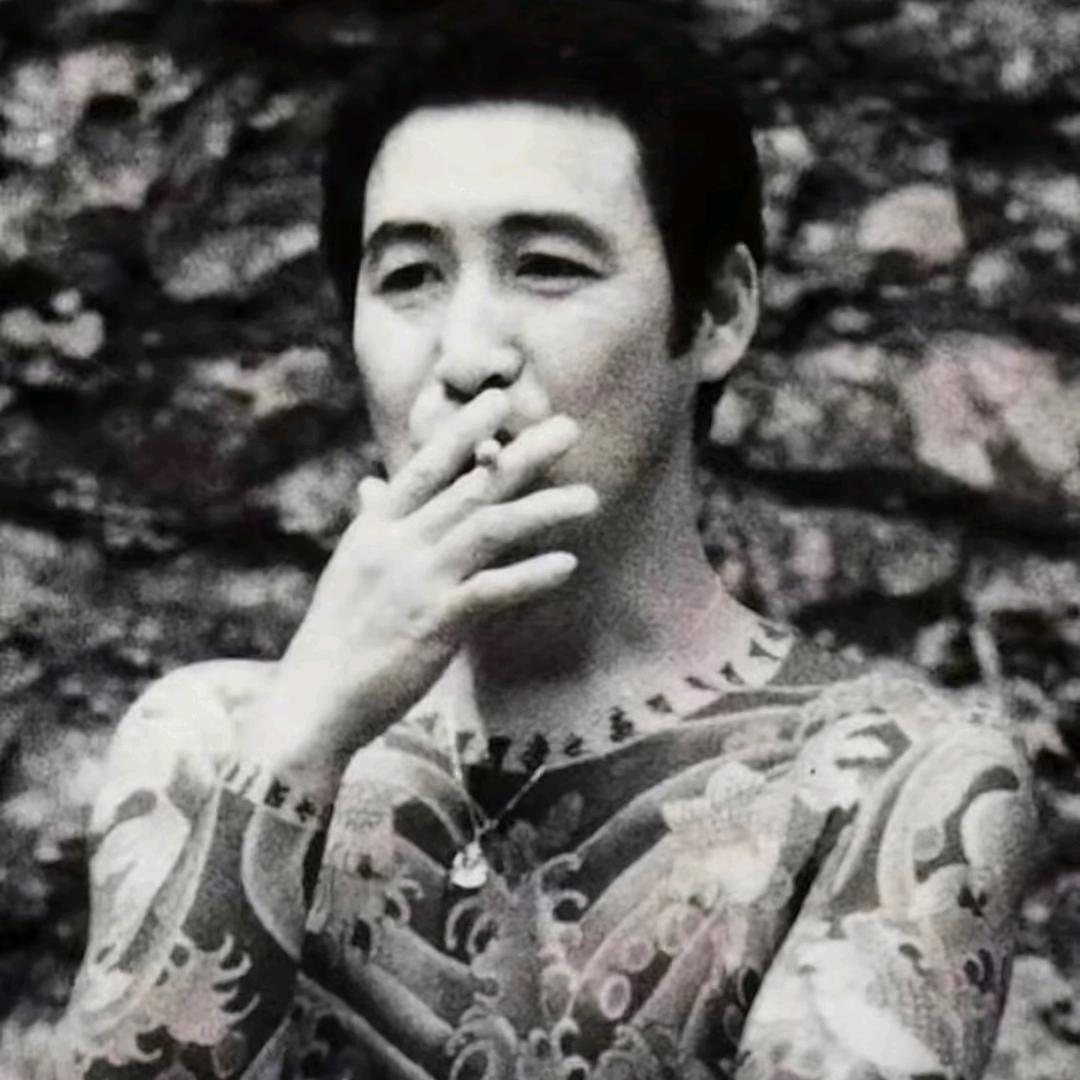 萝卜特