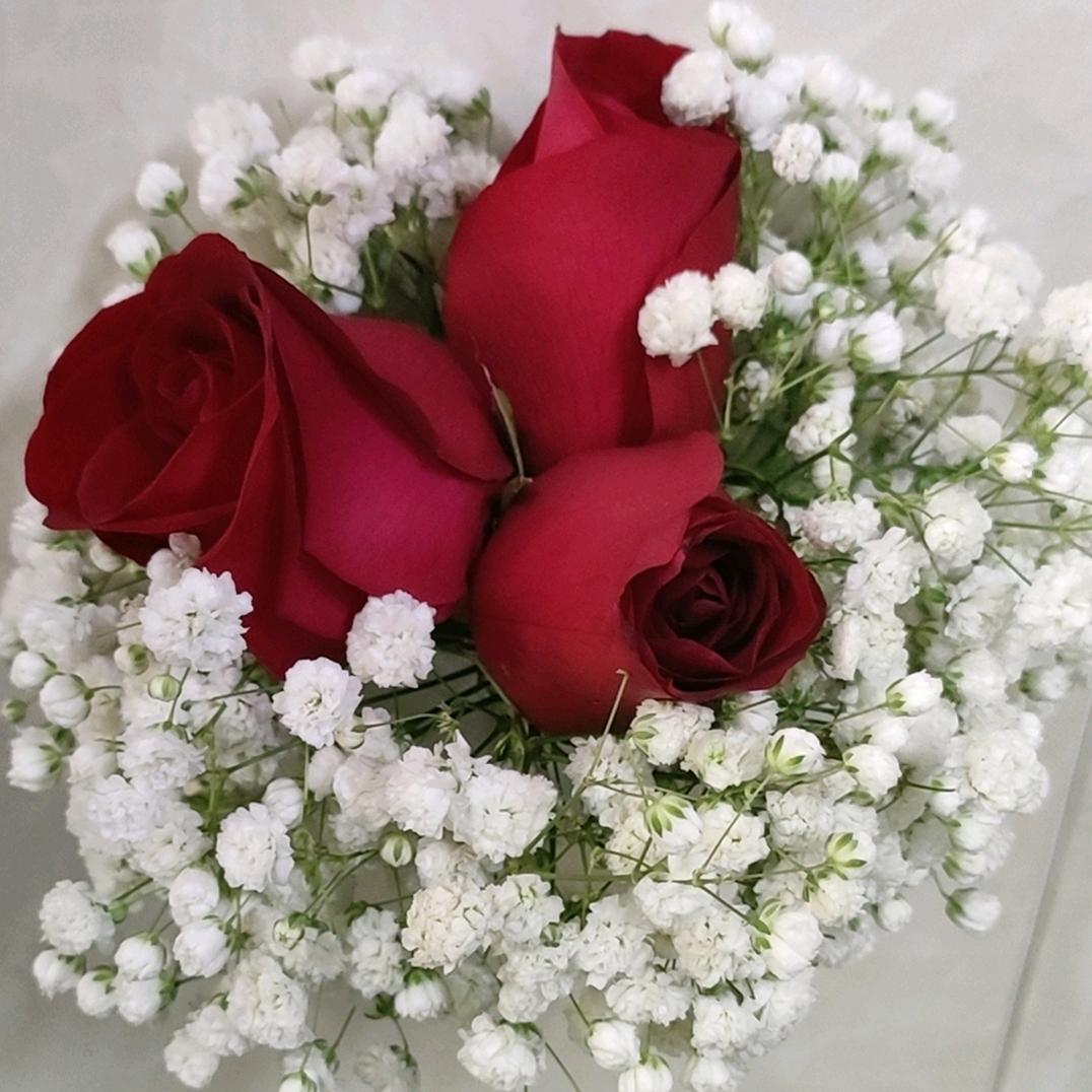 刘二娃❤️爱你们🐶🐯🐥🐍