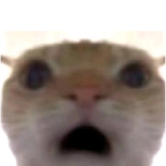 仓巽