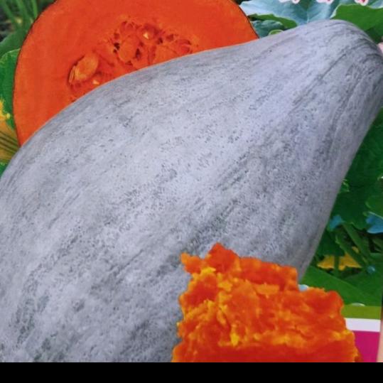 玲宝谁💞家小媳妇278🍒