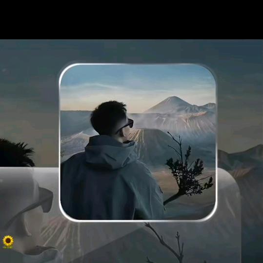 十一