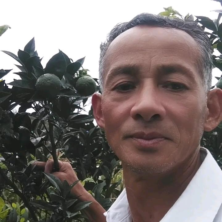 徐坊果农
