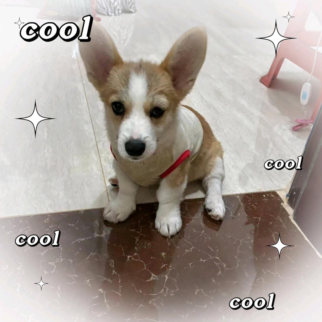 小柒吖