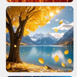 🍂岁月如风🍂