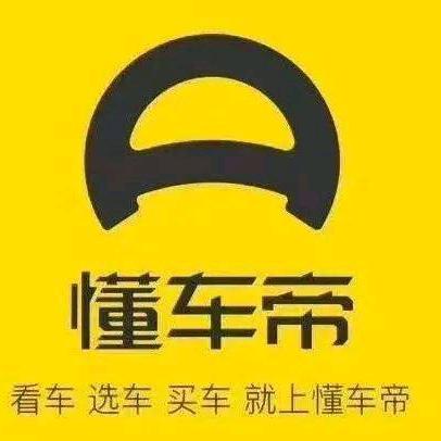 懂车帝汽车商城盘州加盟店小高