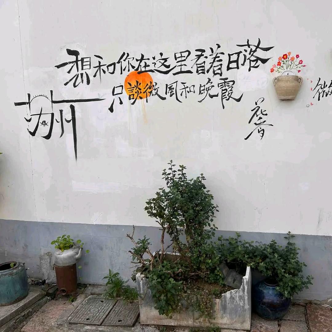 娱乐小猪猪