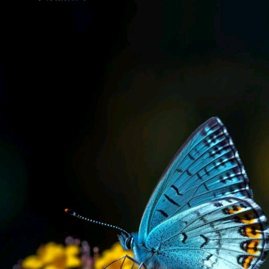 ^^^“烟雨”————“即墨”