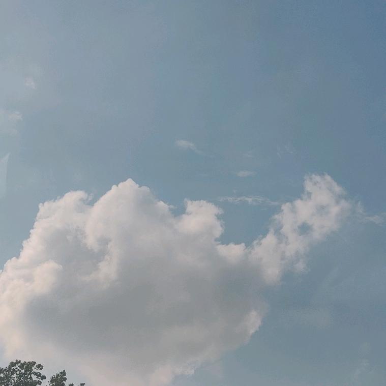 兔兔故事屋…🐰