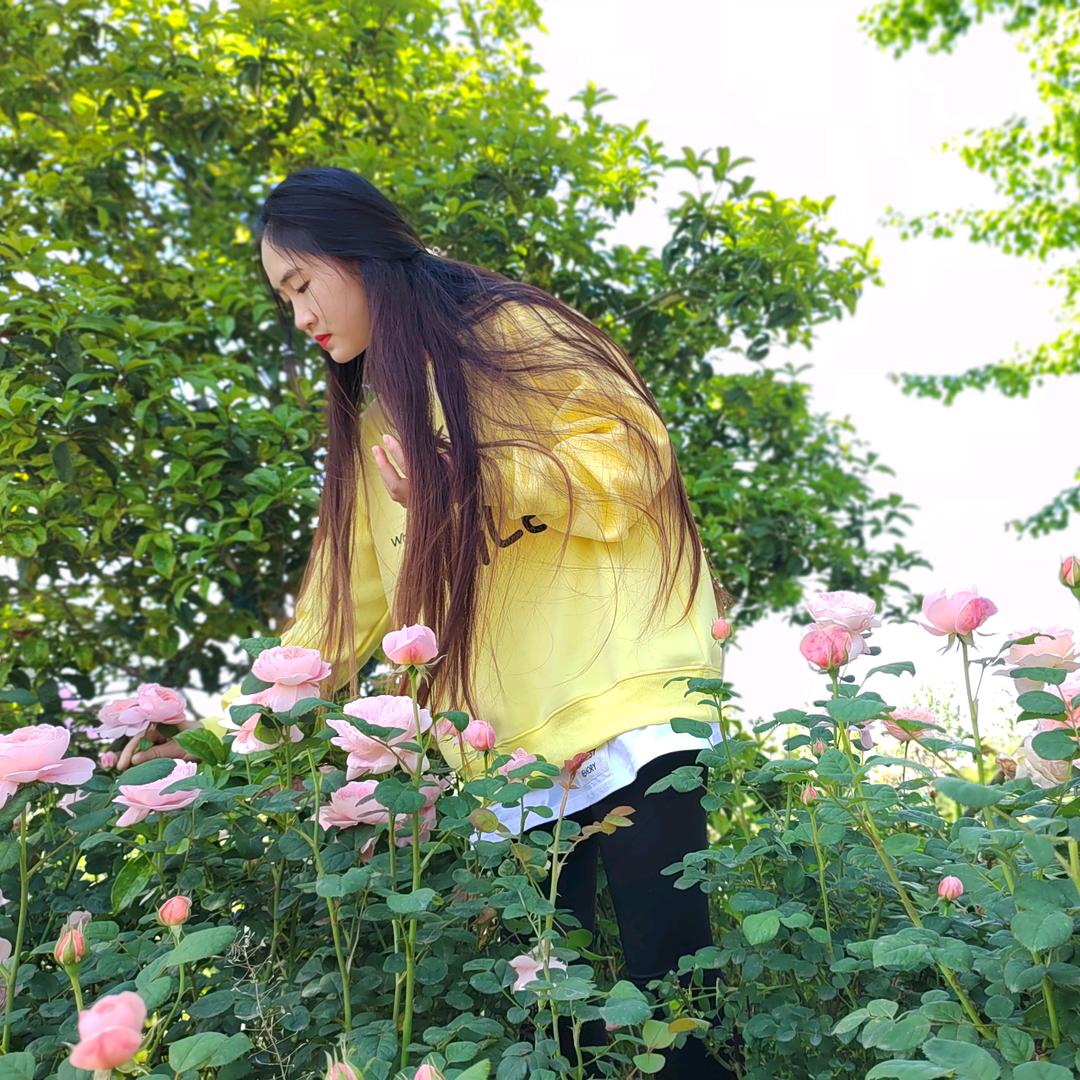 徐♡个愿❀