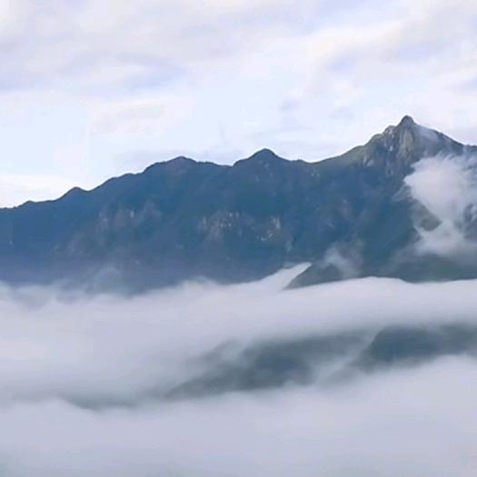 远方的山顶云雾缭绕