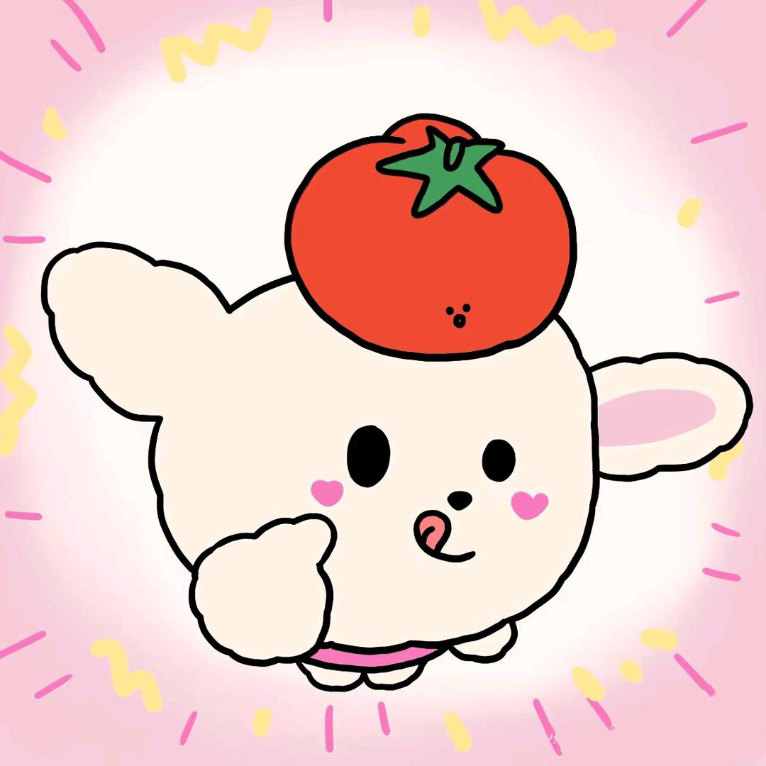 小新的宝藏屋