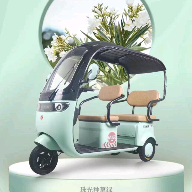 专业批发电动车
