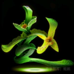 《与烟酒分家》