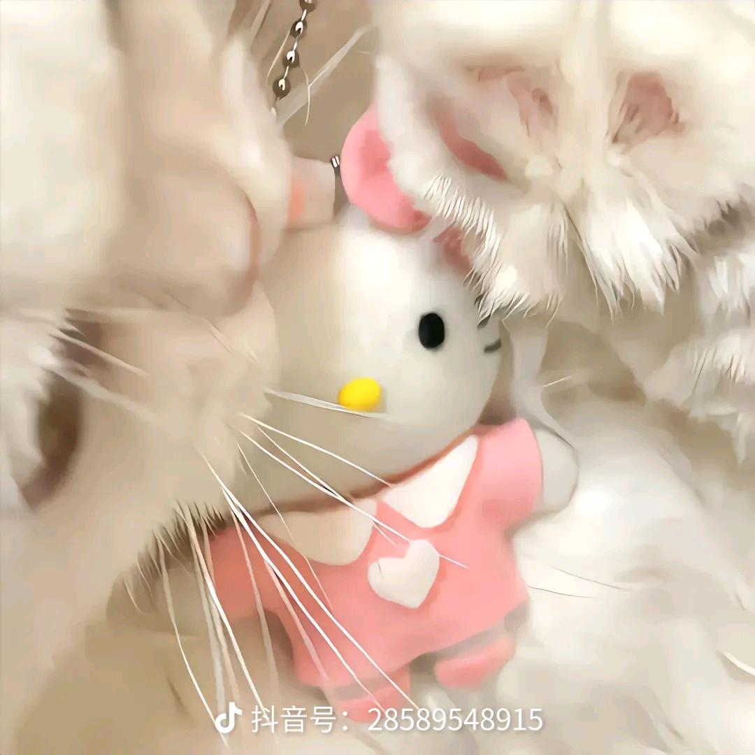 屋顶橙子味🤞🏻
