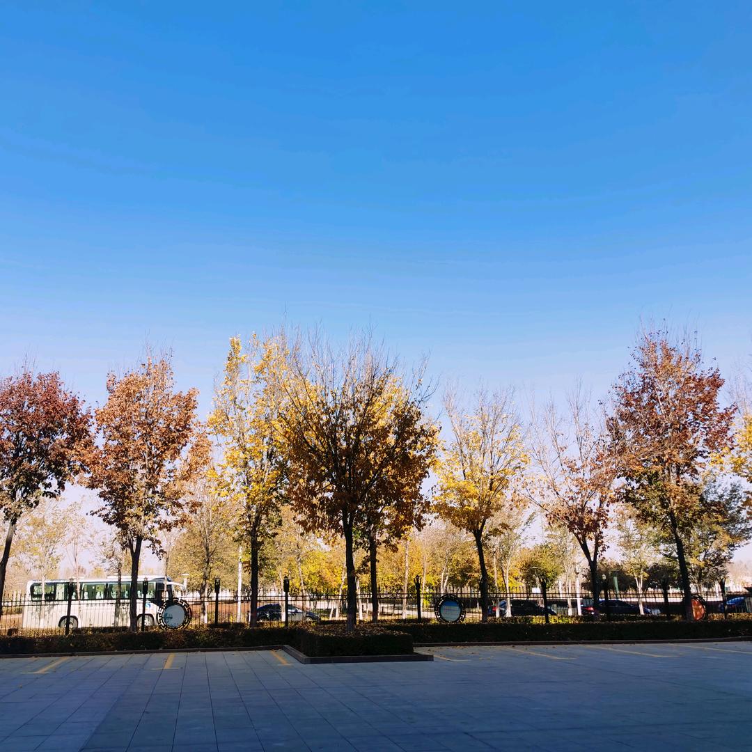 给梦想一次开花的机会