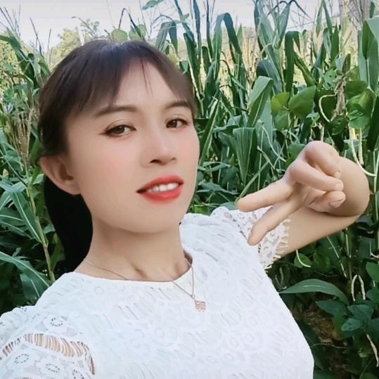 红成1