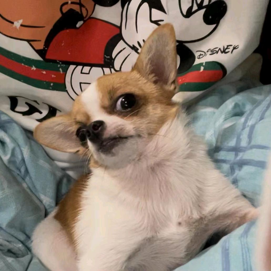 不知取什么名字