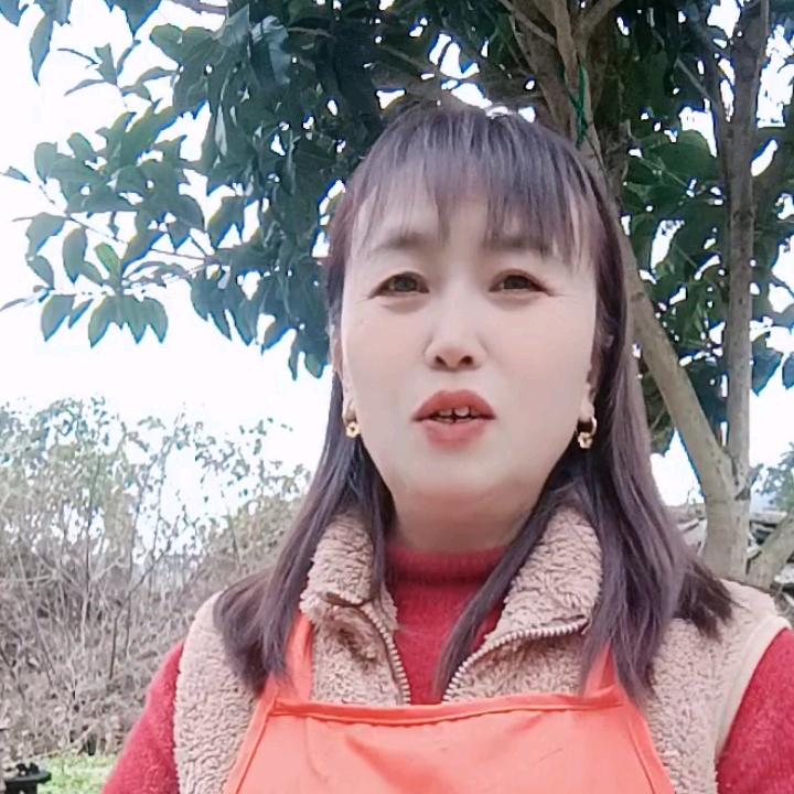 刘姐闲聊（每周三晚上八点十分直播