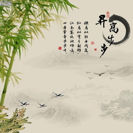 点儿