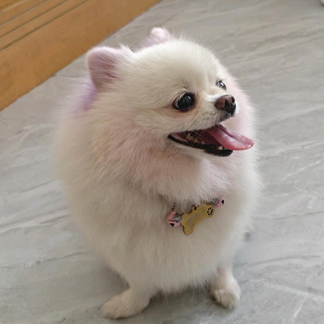 ˚*̥(∗*⁰͈꒨⁰͈)*̥哇哦~