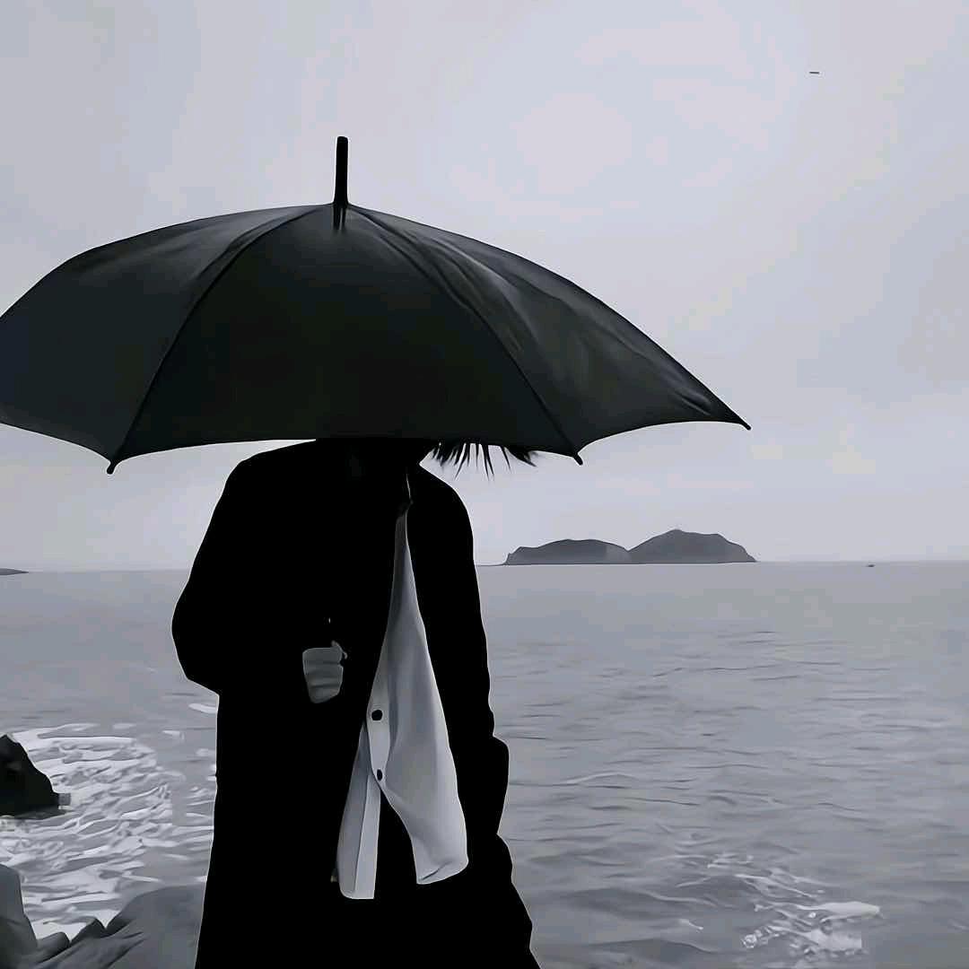 @别碰我💫