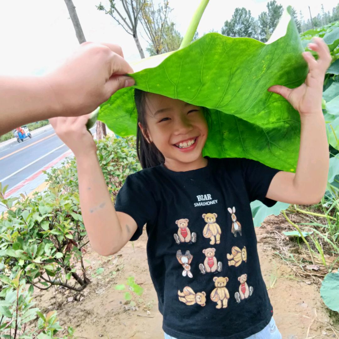 🌻🌻🌻向日葵🌻🌻🌻