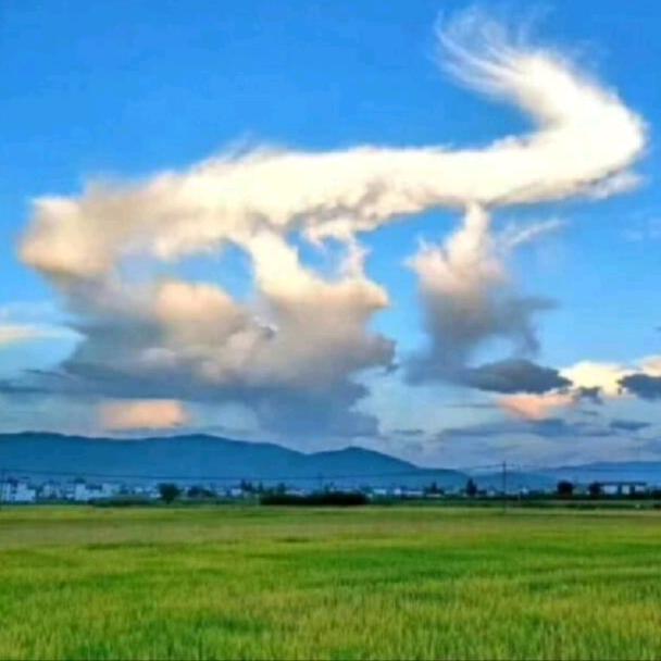 网事云焉☁