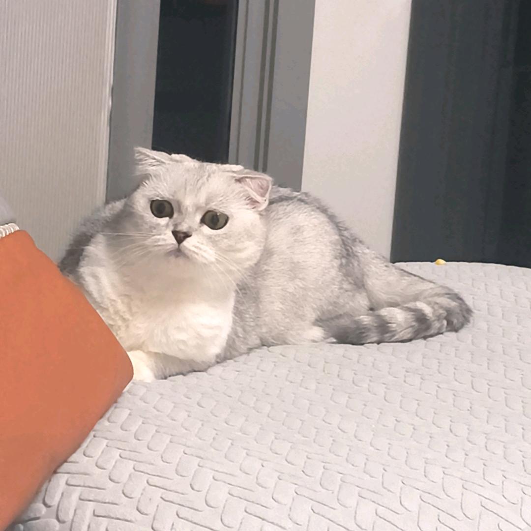 莫向外求