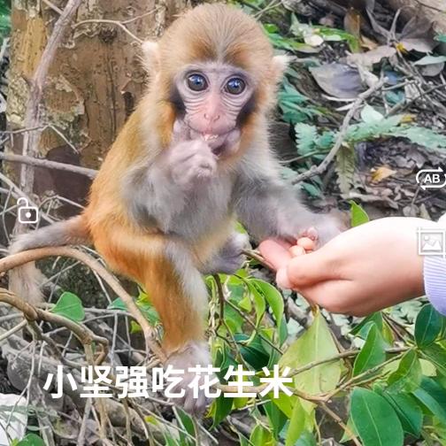 金凯财运