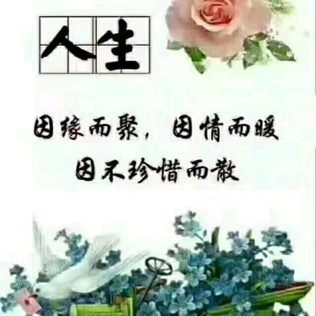 伍柒捌陆