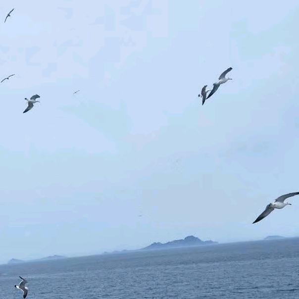 思念