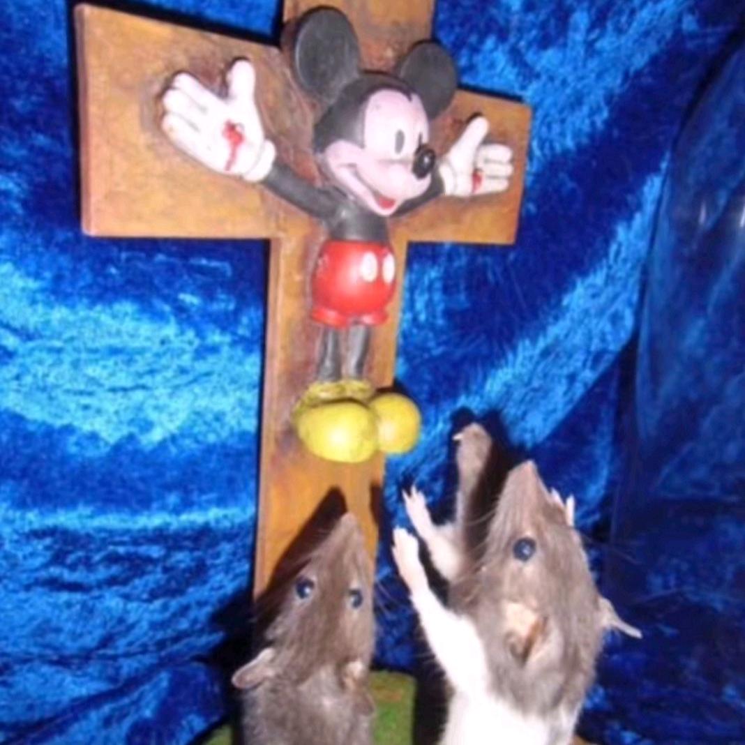 thomeboydontkill
