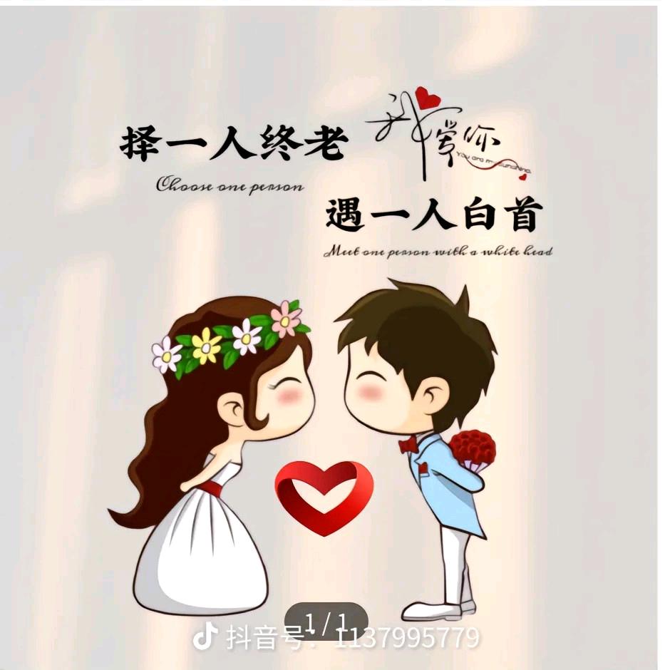 硪的寶硪拿命來寵