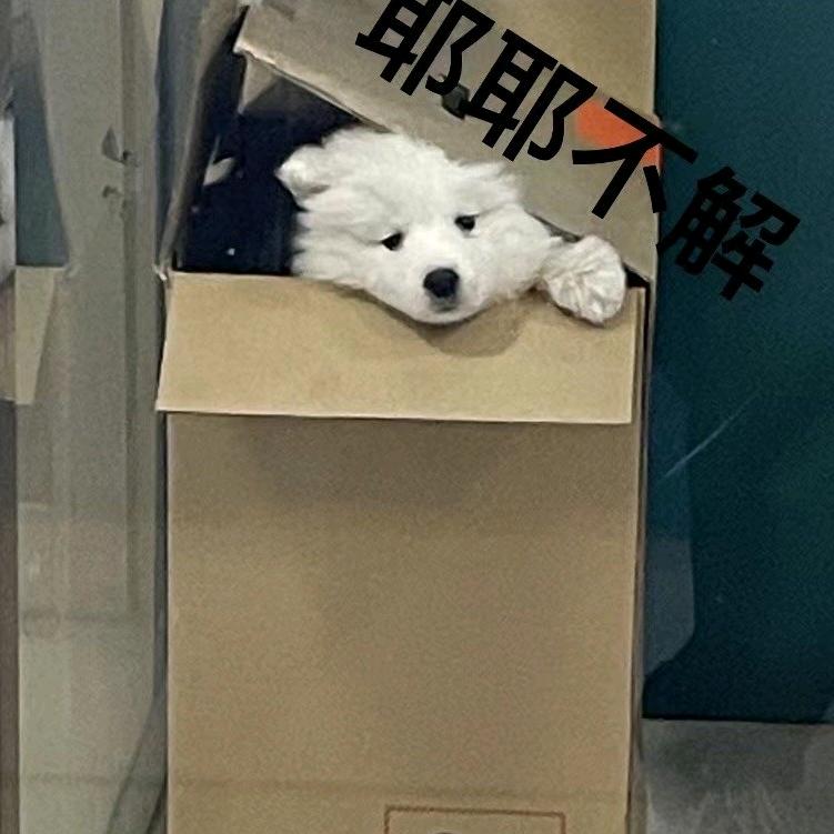 无（玩游戏版）（很菜忽喷）