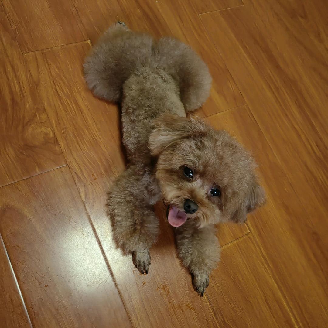 🌈李李