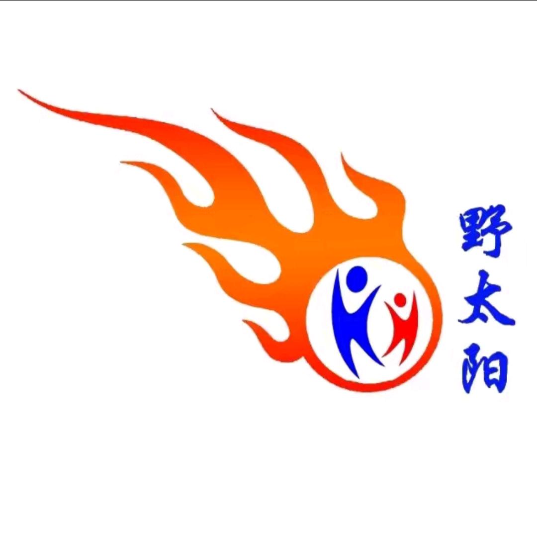 杉树野太阳无烟气化炉直销