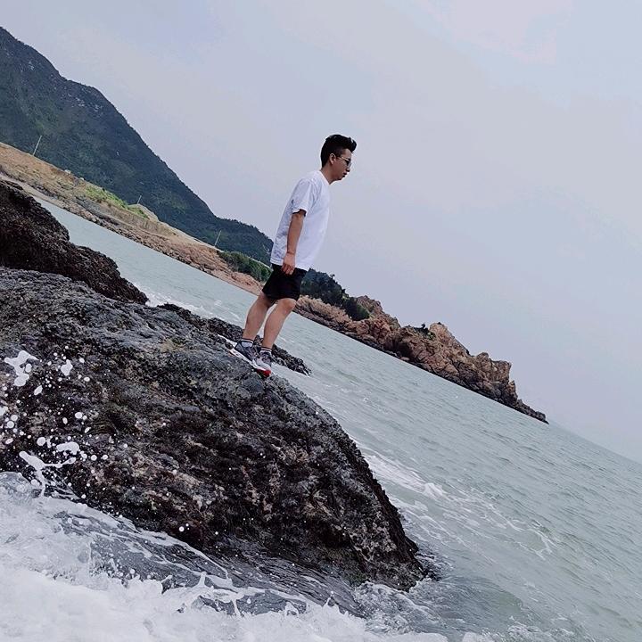 踏雪寻梅