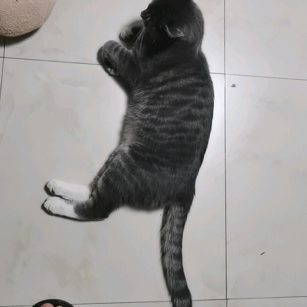 太原商务🐔