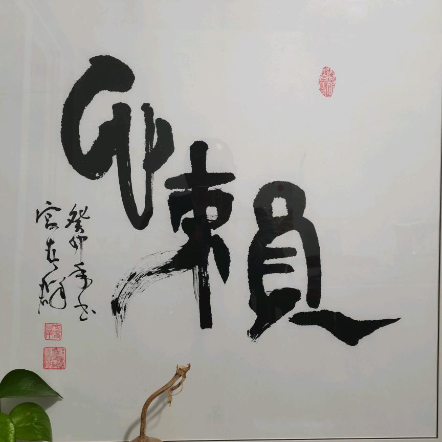 逆袭之星（穷变富🐂）