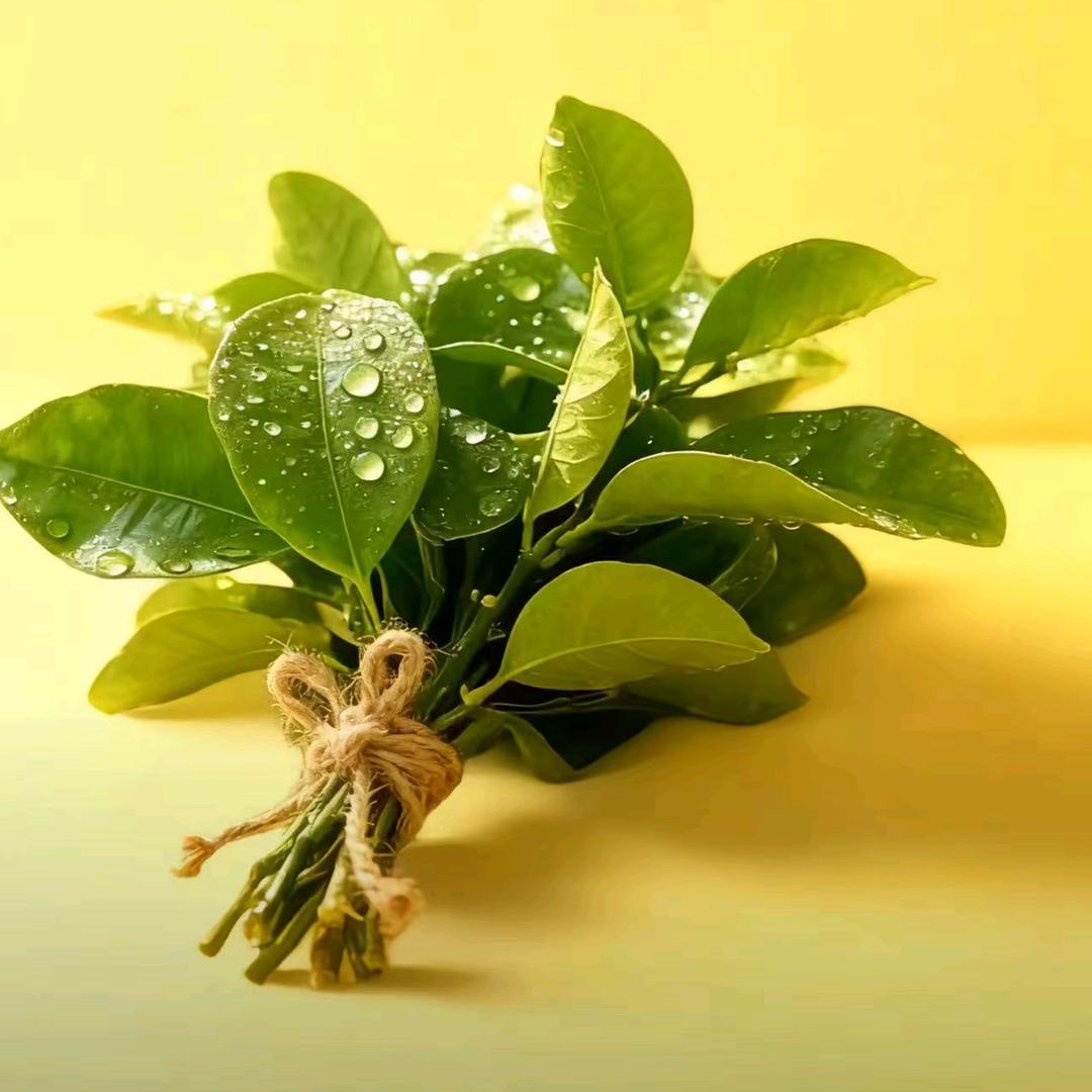 ᥫᩣ人间清醒🍶