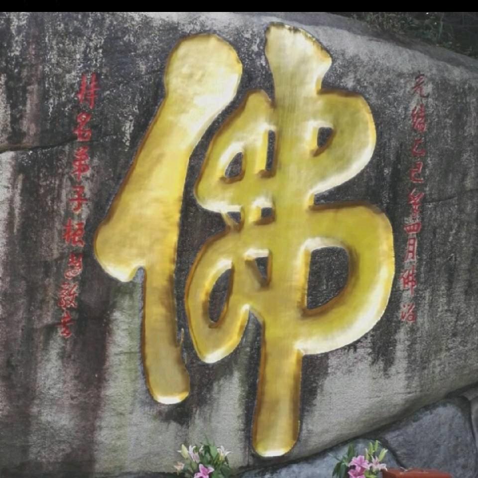 小八哥