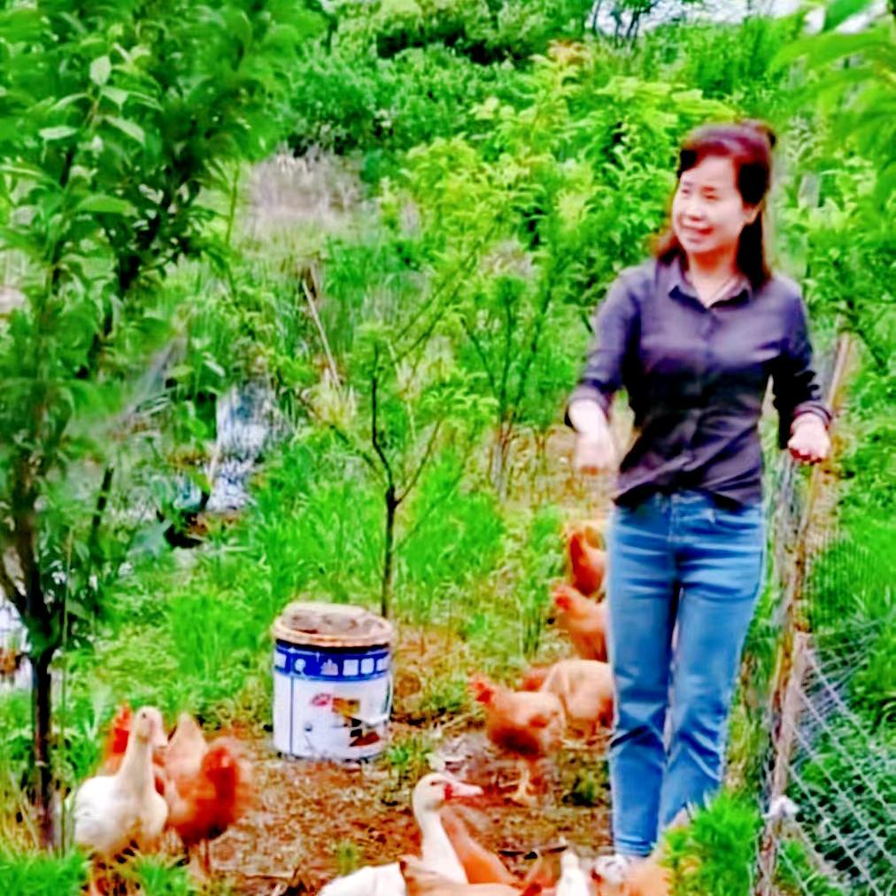 兰妹子