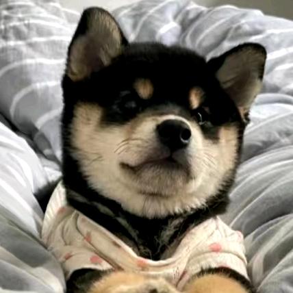 Zzzzzz