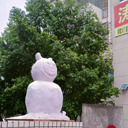 幸运🐰（橱窗有好物）