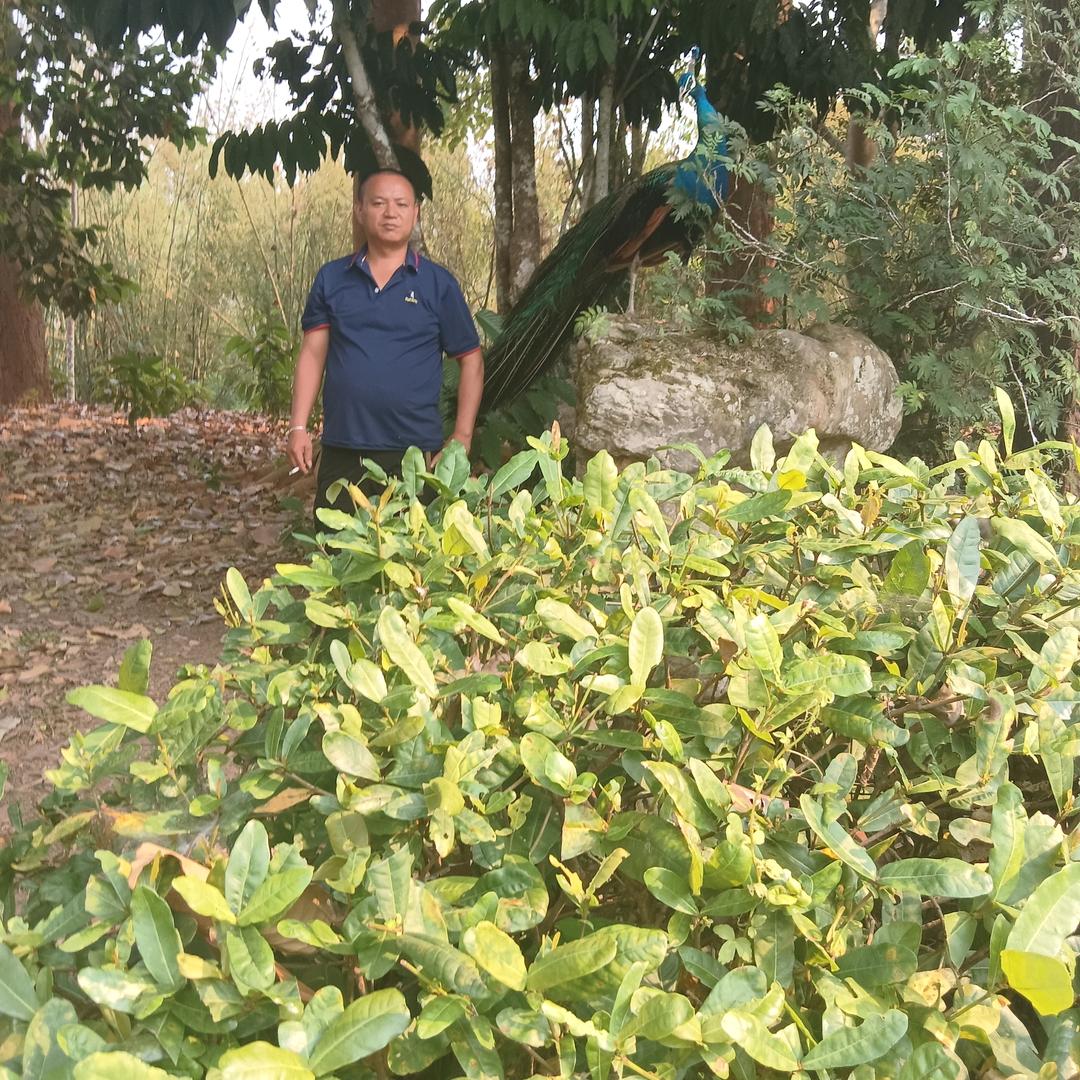 平安是福