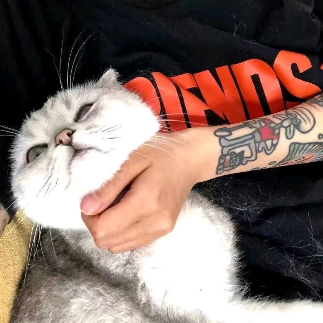 拾零