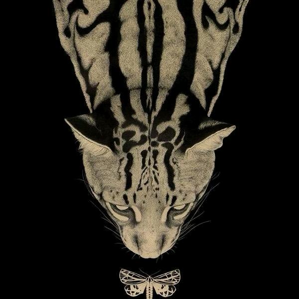 ᥫᩣGG柠柠ᥫᩣ🍬