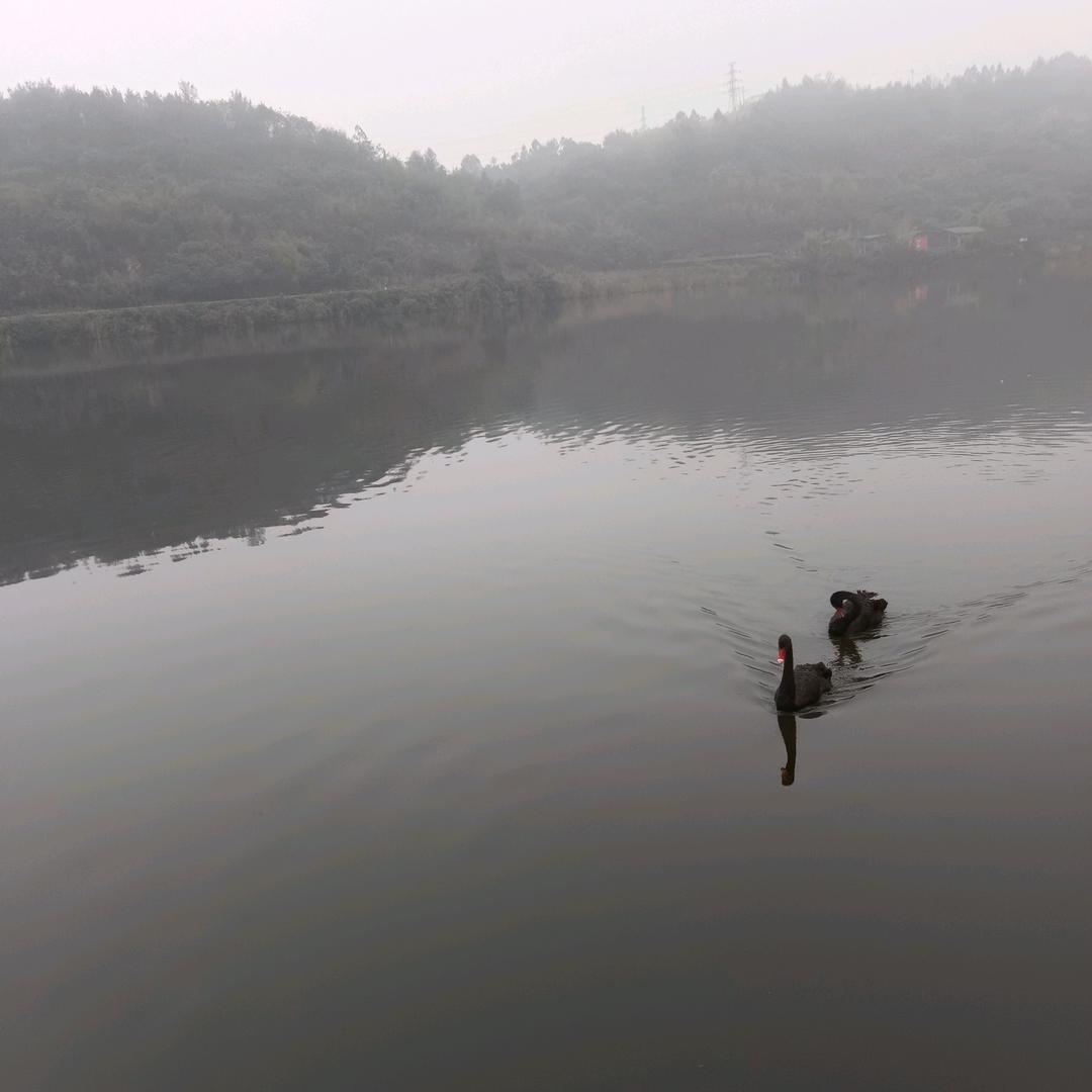 💕᭄👩‍❤️‍👨｡◕‿◕｡情【💞