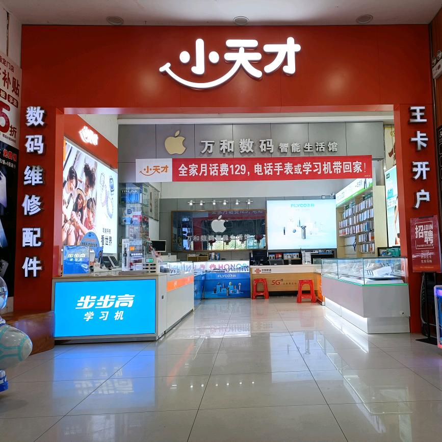 小天才万和数码小叶