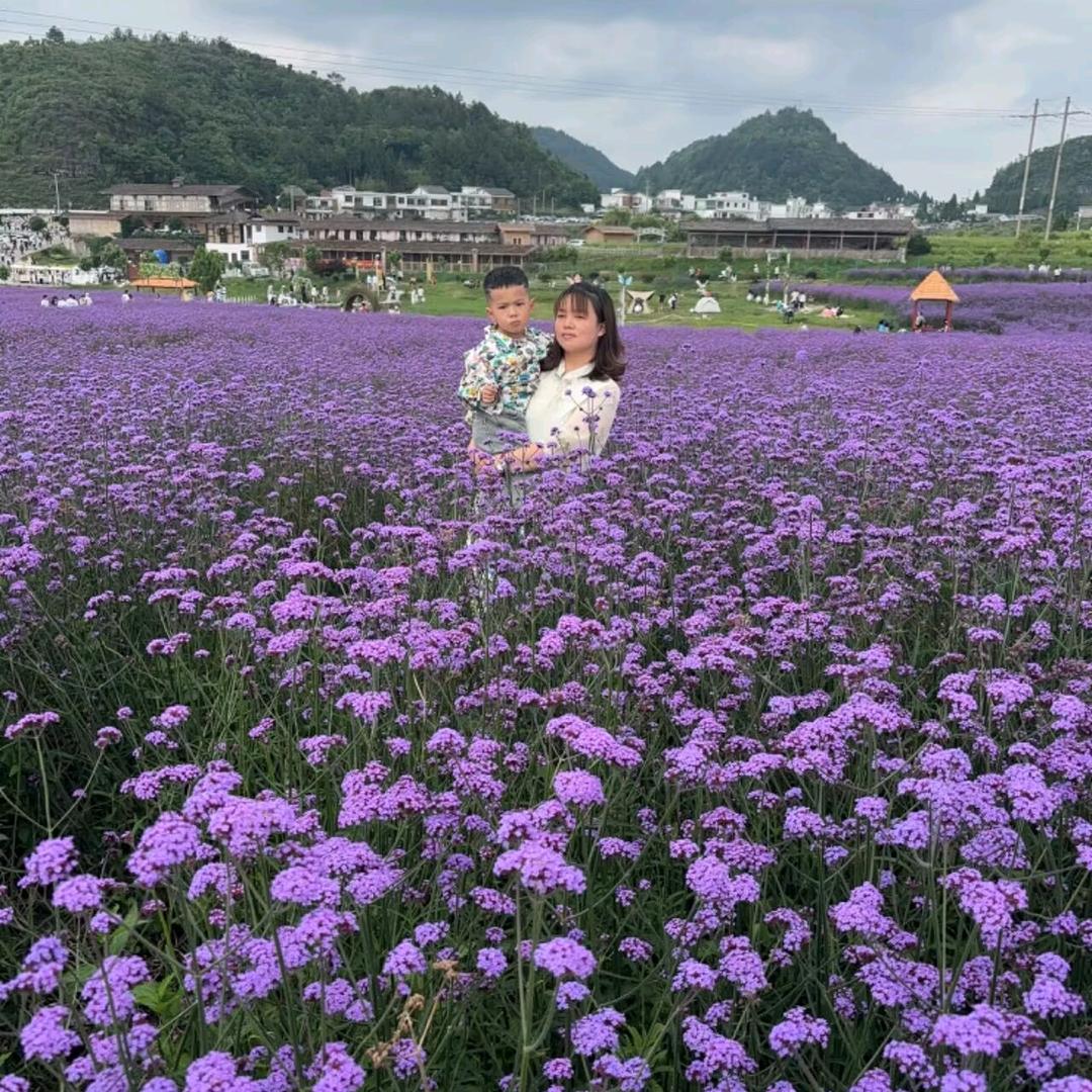 静心@